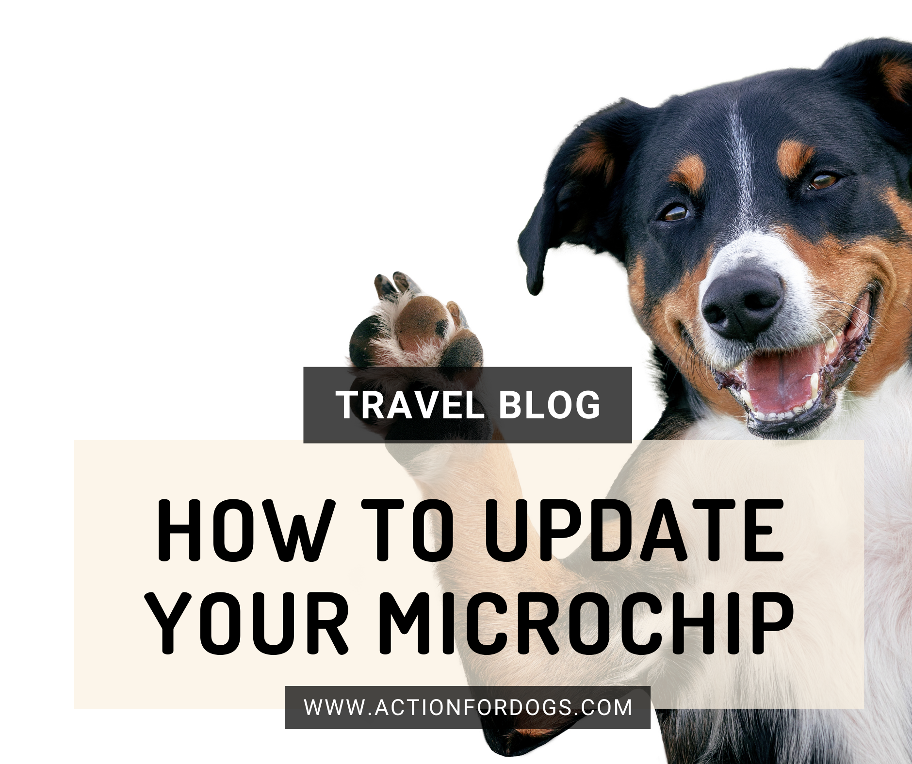 how do i change the information on my dogs microchip